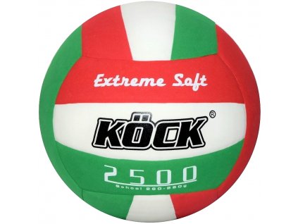 volejbalovy mic school 2500