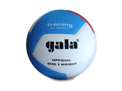 Míč volejbal PRO-LINE GALA BV5565S