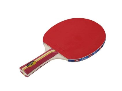 Pálka na stolní tenis PLUS A04