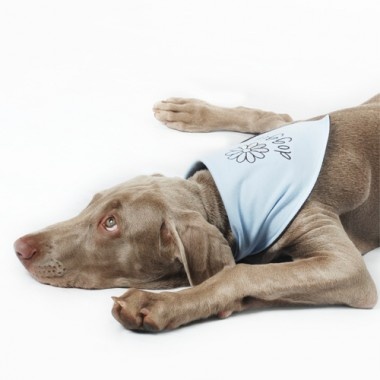 Tlapka šátek pro psa Doggie Barva: Modrá, Velikost: S