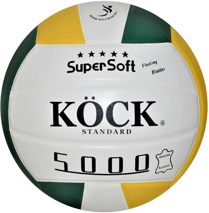 Míč volejbal STANDARD - L 5000 kožený