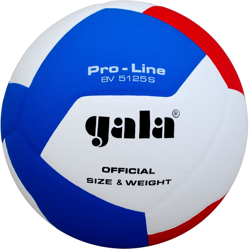Volejbalový míč Gala Pro Line BV 5125 S