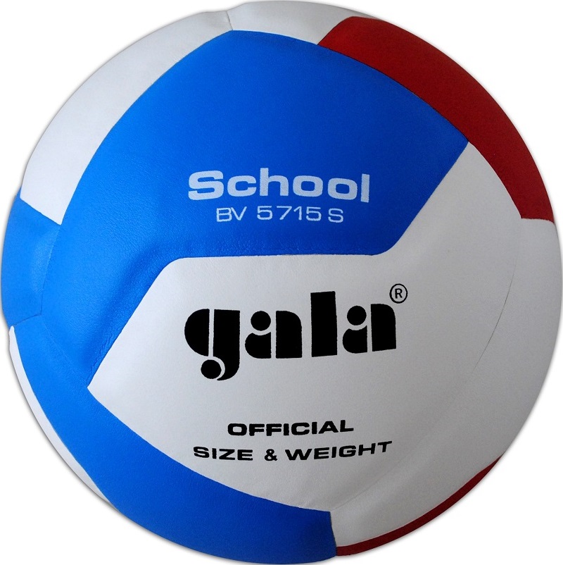 Volejbalový míč Gala School BV 5715 S