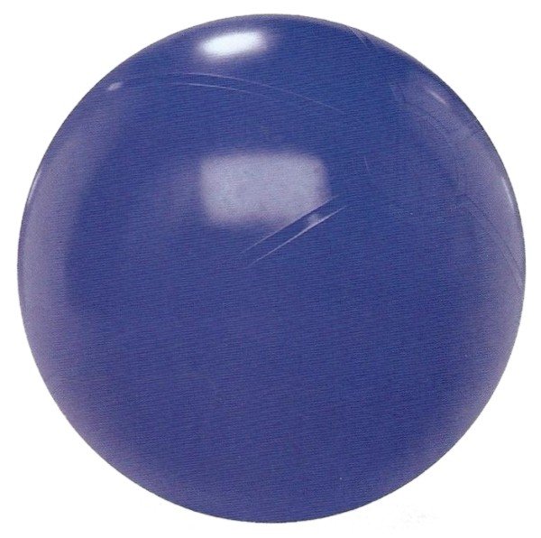 Gymnastický míč 75cm EXTRA FITBALL Barva: Fialová