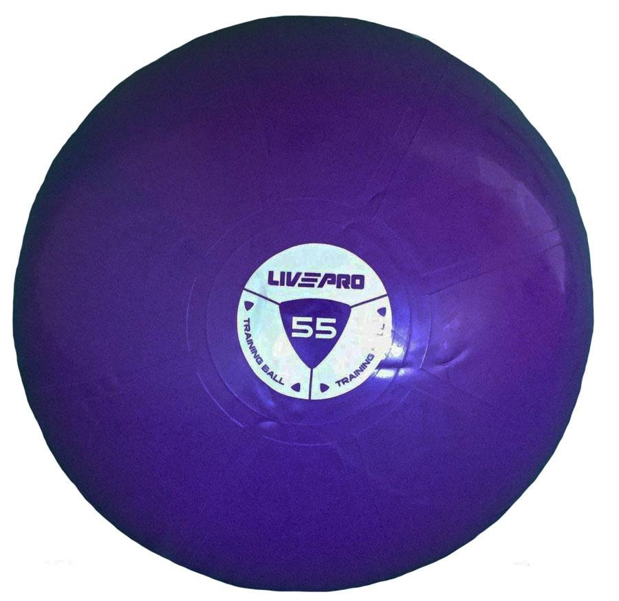Míč gymball LivePro STUDIO FIT EXERCISE 55 cm Varianta: 55 cm