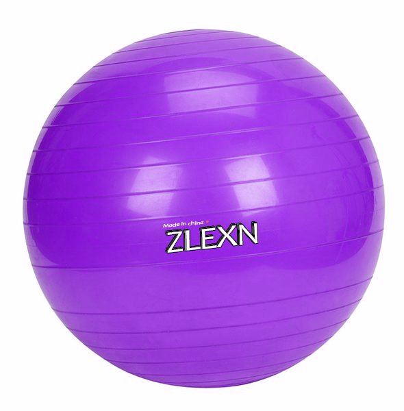 Gymnastický míč Yoga Ball Sedco 65 cm Barva: Fialová