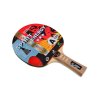 palka na stolni tenis giant dragon spirit energy 3 90301
