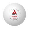 Míčky na stolní tenis JOOLA PRIME ABS*** - SET 6 ks