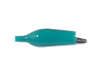 Krokosvorka izolovaná 35mm zelená