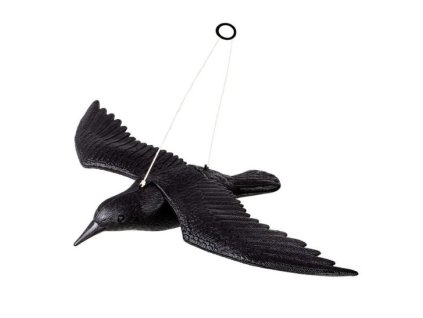 Létající krkavec, havran, maketa, odpuzovač holubů a ptáků