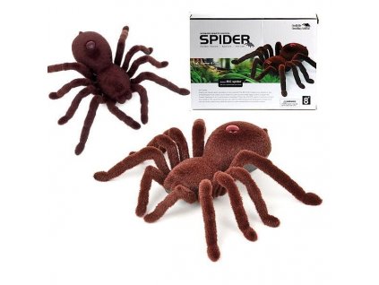 RC Tarantule- Pavouk