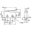 Mikrospínač MSW-14, ON-(ON) 250V/5A s páčkou 23mm