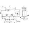 Mikrospínač MSW-12, ON-(ON) 1pol.250V/5A-páčka 17mm