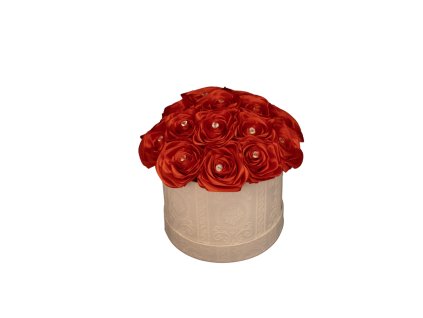 Návrh bez názvu (11)