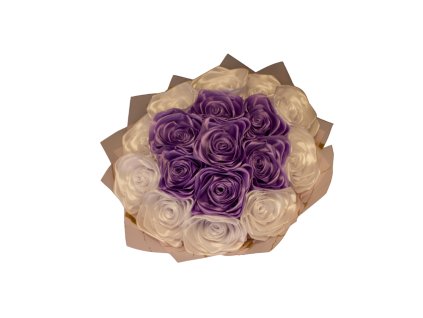 Návrh bez názvu (14)