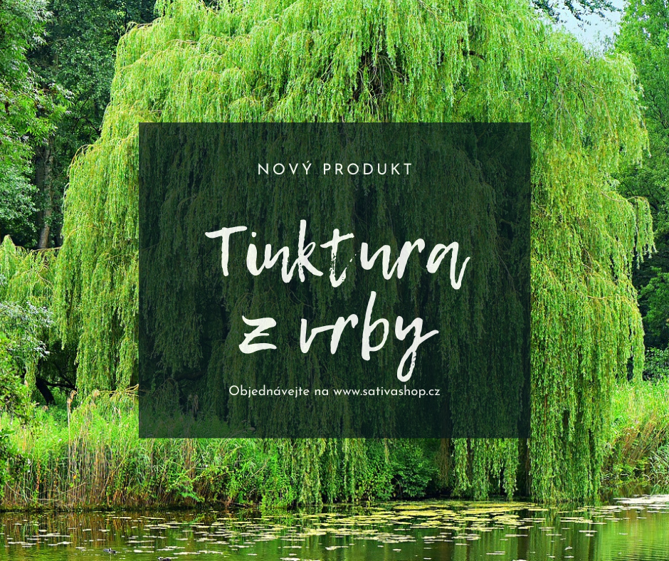 Novinka - tinktura z vrby!