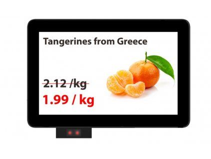S-Kiosk RTPC101 price checker with 10.1" display