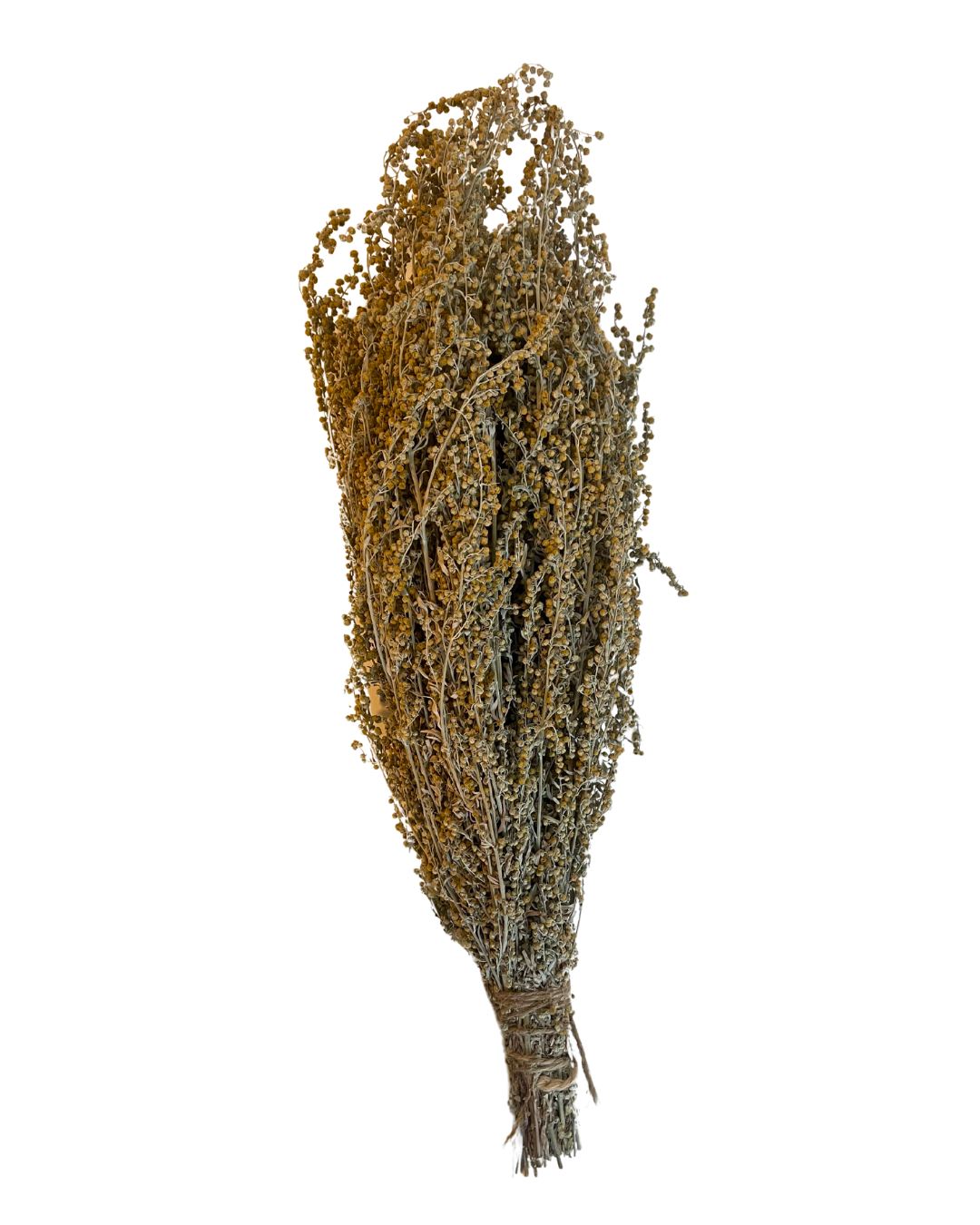 Wormwood