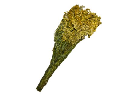 Zlatobýl - Bylinná metlička