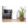 Fral Super Cool FSC03.1 (34)