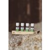 Saunová vůně mix eukalyptus bříza kouřové aroma 4 x 10 ml - dřevěný podstavec