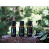 Saunová vůně eukalyptus 10 ml Rento 2
