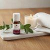 Esenciální olej eukalyptus 10 ml 2