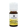 Saunová vůně citron–mentol 10 ml 1