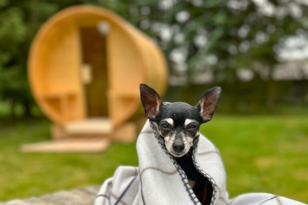 Saunování při nachlazení: Kdy pomůže a kdy raději vynechat?