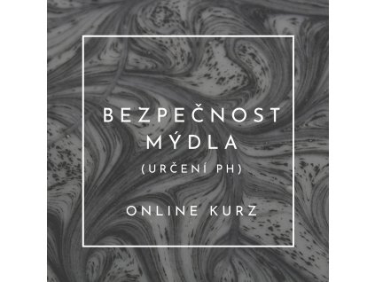 ONLINE KURZ