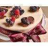 Savoy dort 2026 03 MarekBartos 2 1024x768px