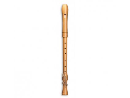 Mollenhauer Canta tenor 2446