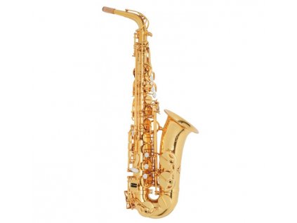Alt saxofon Ryu RSA Academy