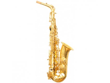 Alt saxofon Ryu RSA Artist M6 U