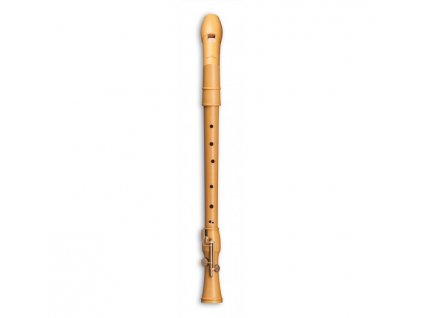 Mollenhauer Canta tenor 2446K