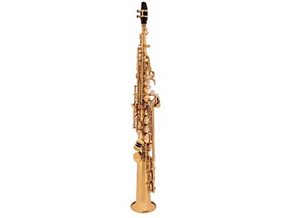 soprano saxophone sf winds school joy