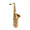 Yamaha YTS 82 Z 03 tenor saxofon  + ZDARMA 3 servisní prohlídky nástroje (v hodnotě 4500 Kč)