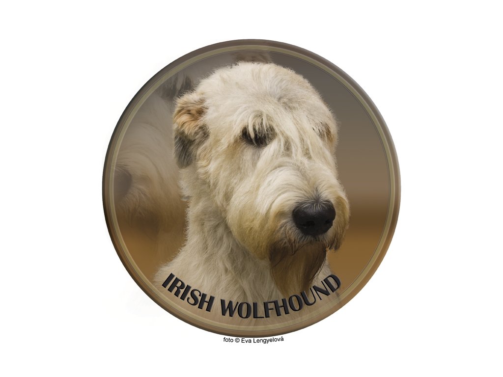 Nálepka Írsky vlkodav - Irish Wolfhound