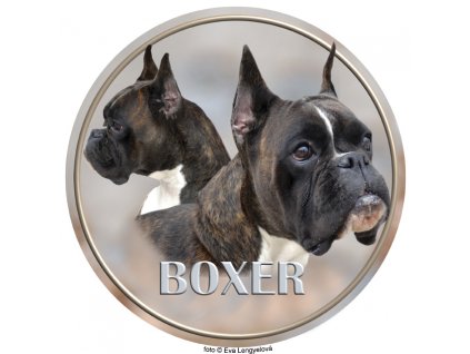 boxer 144 101 kopie