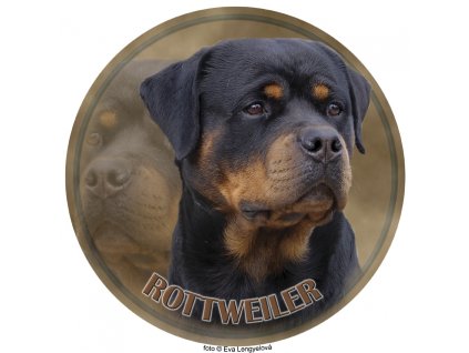 rottweiler 147 101 kopie