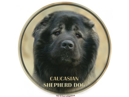 Nálepka Kaukazský ovčiak - Caucasian shepherd dog - Kavkazskaia ovtcharka