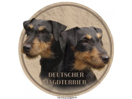 deutscher jagdterrier 103 101 kopie