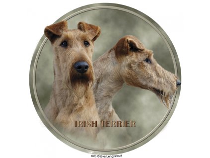 irish terrier 139 101 kopie