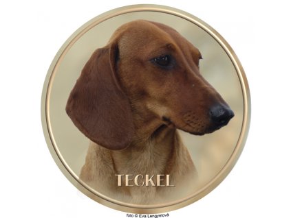 Nálepka Jazvečík - Dachshund - Teckel