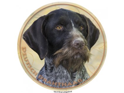deutsch drahthaar 098 501
