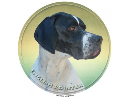 Nálepka Anglický pointer - English Pointer