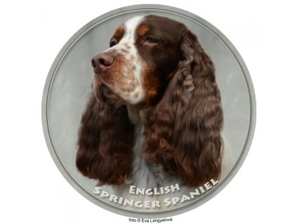 Nálepka Anglický špringeršpaniel - English Springer Spaniel