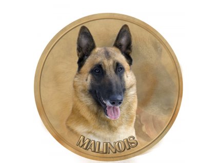 bs malinois 015 201