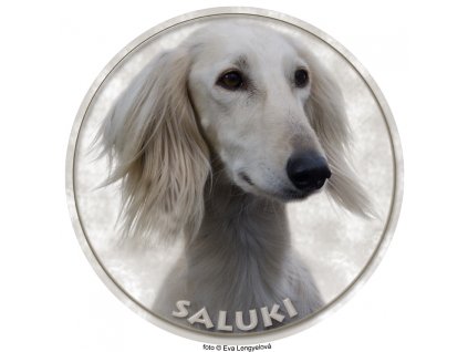 saluki 269 301