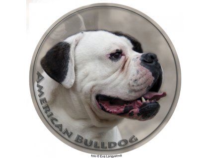 american bulldog 902 501